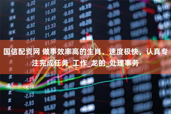 国信配资网 做事效率高的生肖，速度极快，认真专注完成任务_工作_龙的_处理事务